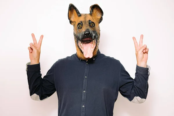 Kostümierte Person Mit Hundemaske Die Mit Beiden Händen Auf Weißem — Stockfoto