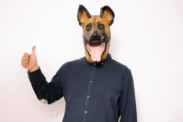 白い背景の承認の印として片手の親指を持つ犬のマスクを持つ者成功と支援の概念 — ストック写真