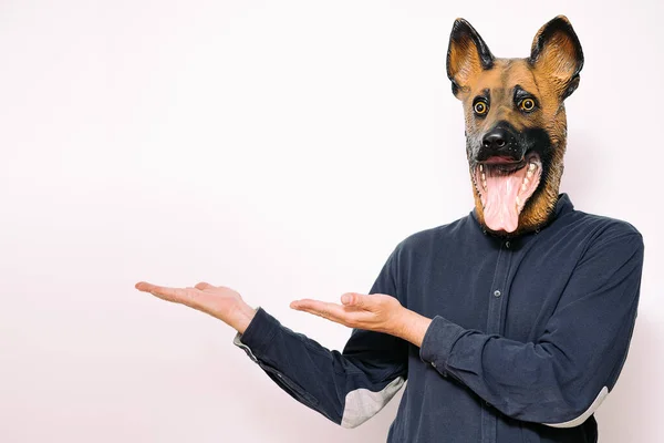 Personne Avec Masque Chien Montrant Avec Les Mains Qui Est — Photo