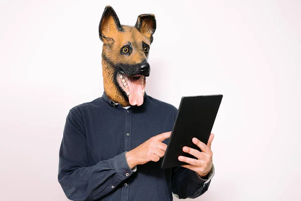 Osoba Psí Maskou Psaní Digitálním Tabletu Bílém Pozadí Koncept Technologie — Stock fotografie