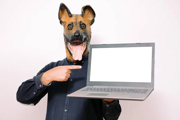 Persona Con Una Maschera Cani Che Indica Schermo Vuoto Computer — Foto Stock