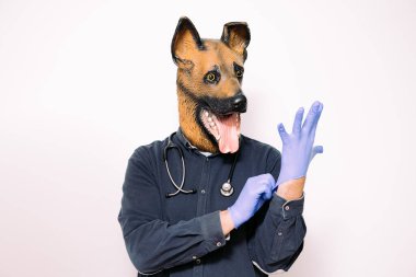 Boynunda steteskop ve köpek maskesi olan beyaz arka planda eline lateks eldiven takan biri. Evcil hayvanınız için güvenilir bir veteriner kavramı.