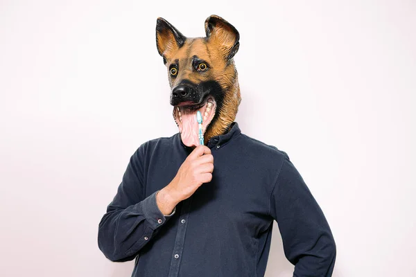 Osoba Maską Dla Psa Pomocą Szczoteczki Zębów Czyszczenia Zębów Białym — Zdjęcie stockowe