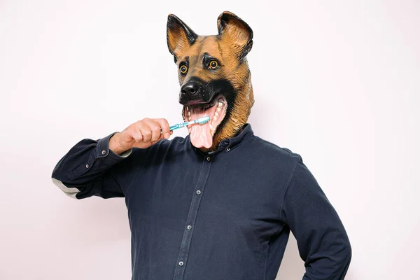 Personne Avec Masque Pour Chien Brosser Les Dents Avec Une — Photo