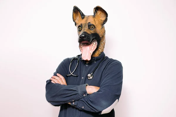 Personne Avec Masque Pour Chien Stéthoscope Sur Cou Pose Avec — Photo