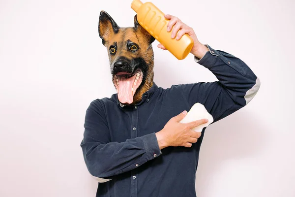 Personne Avec Masque Pour Chien Est Lavé Avec Une Éponge — Photo