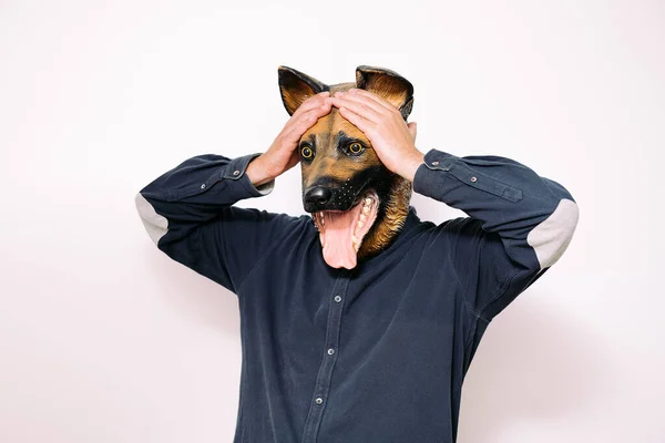 Человек Маске Собаки Держит Руки Голове Удивлении Беспокойство Белом Фоне — стоковое фото