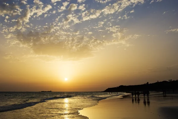 Sunset bulvarında La Barrosa beah