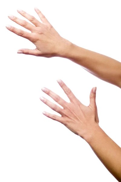 Her iki ellerini arkasında