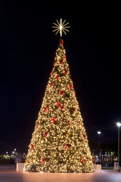 Illuminated Christmas tree at night — Stock Photo, Image