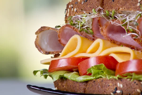 Deli meat sandwich with turkey — Stock Photo, Image