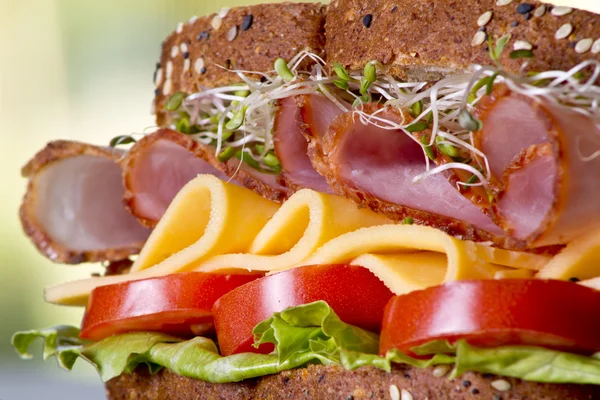 Deli meat sandwich with turkey — Stock Photo, Image