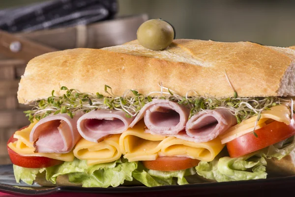 Submarine Sandwich — Stock Photo, Image