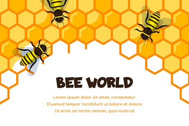 Bal dolu bal peteği üzerinde çalışan arılar. Arılar bal ve propolis yapıyor. Kopya alanı ile düz biçim illüstrasyonu