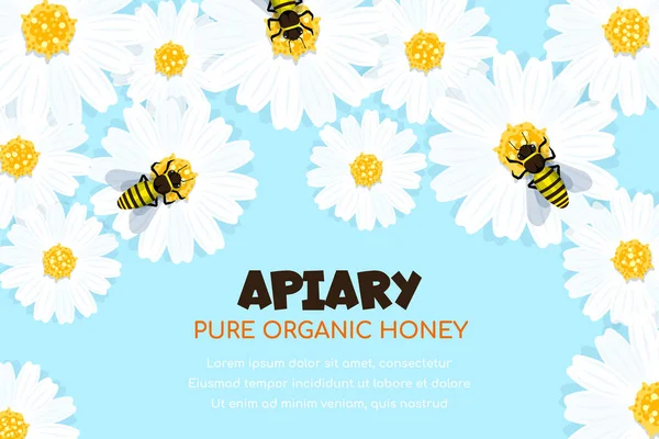 Pracujące Pszczoły Miodne Siedzą Kwiatach Zbierają Nektar Apiary Organiczny Miód — Wektor stockowy