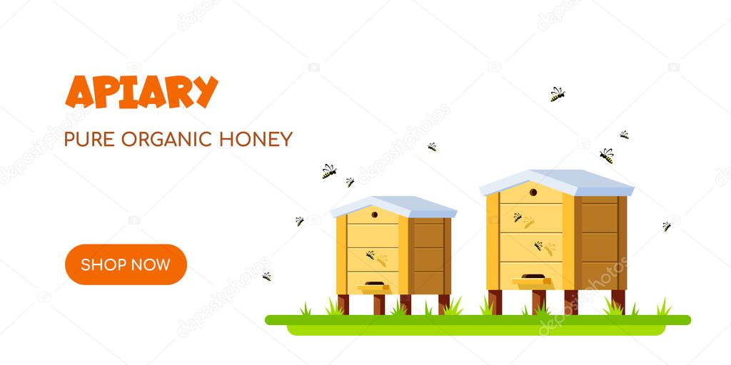 Apiary with Bees on White Background. Apiculture Concept