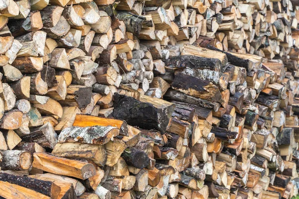 Vorbereitung des Brennholzes für die Wintersaison — Stockfoto