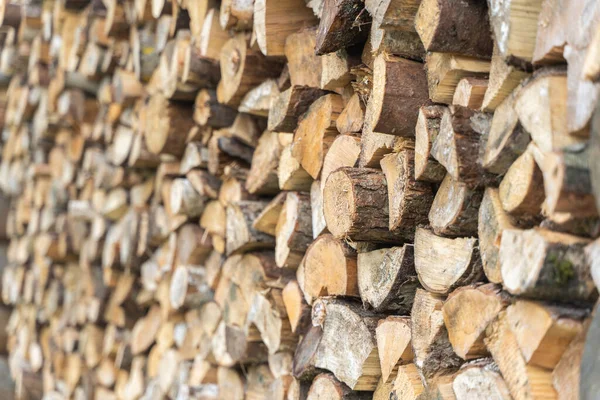 Vorbereitung des Brennholzes für die Wintersaison — Stockfoto