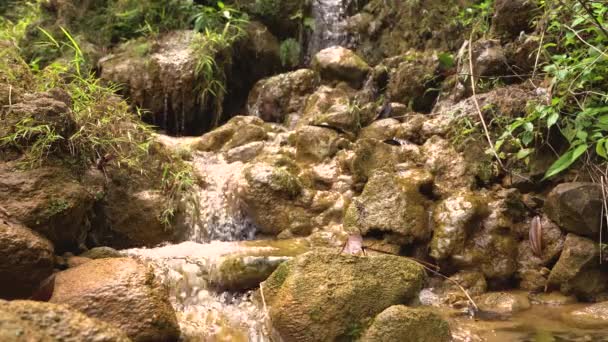 Close up vídeo de pequena cachoeira da montanha — Vídeo de Stock