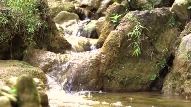 Primer plano de vídeo de pequeña cascada de montaña — Vídeos de Stock