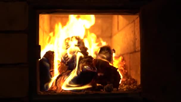 Καυσόξυλα καίει σε ένα αγροτικό φούρνο τούβλων — Αρχείο Βίντεο
