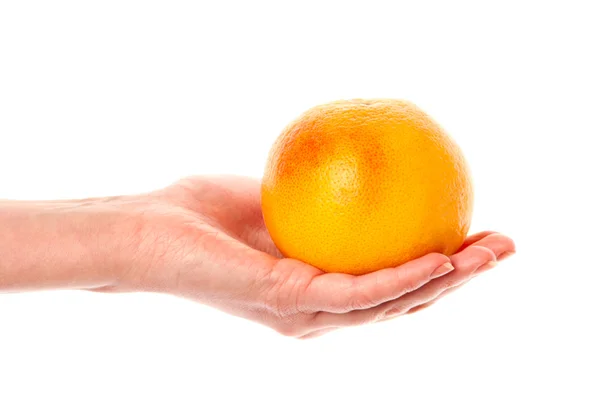 Hant with grapefruit — Stock Photo, Image