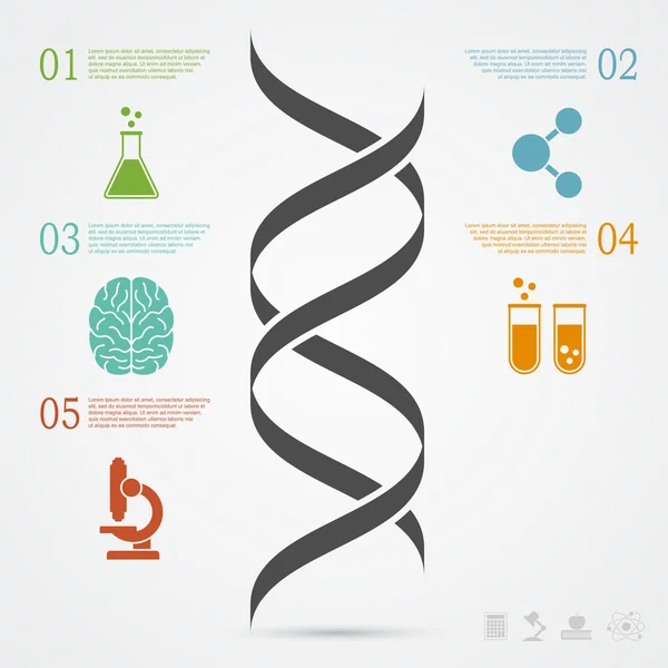 Infografía del ADN — Vector de stock