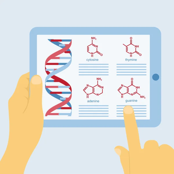 Struktur DNA - Stok Vektor