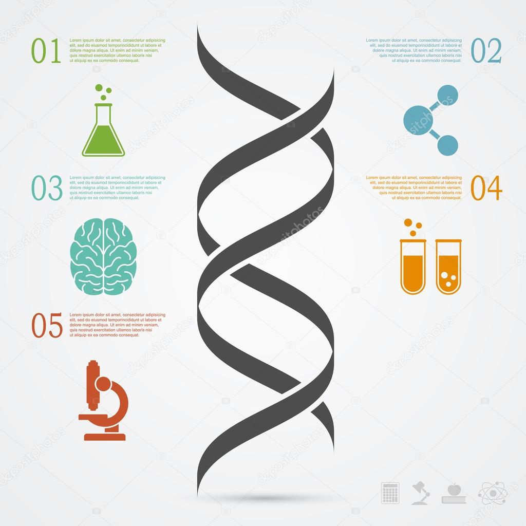 DNA infographic