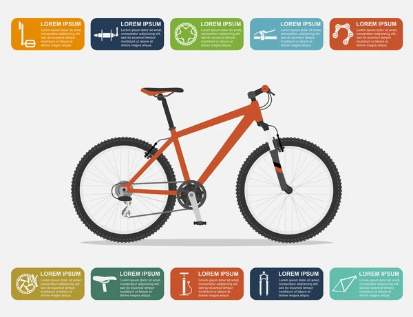 Infographie vélo — Image vectorielle