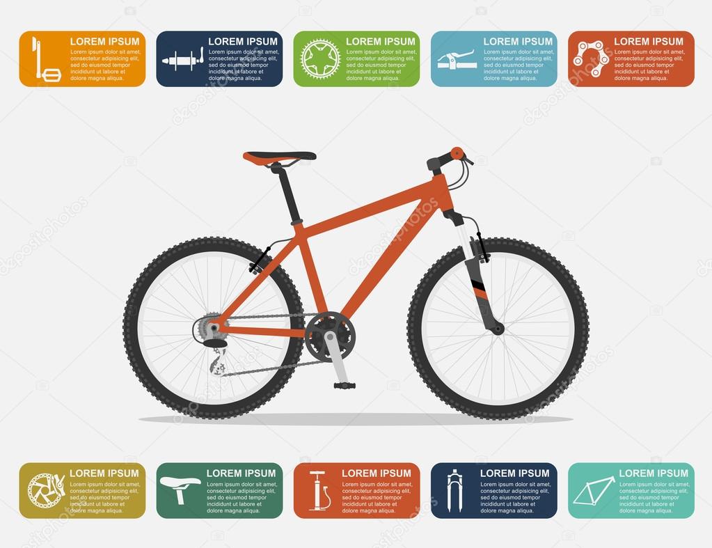 bike infographic