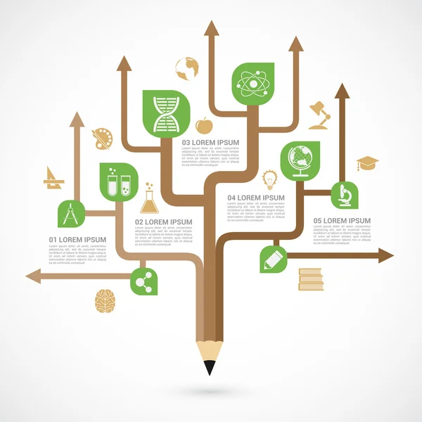 Eğitim Infographic şablonu