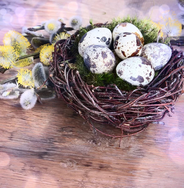 Ptačí vejce v hnízdě na rustikální dřevěné pozadí. — Stock fotografie