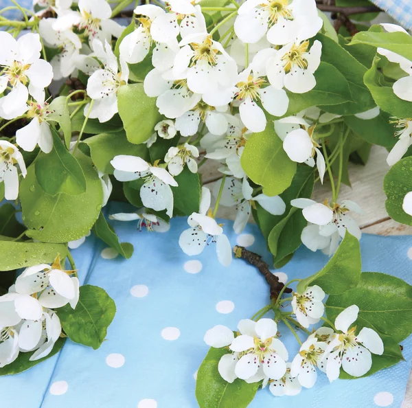 PEAR bloemen op een houten achtergrond — Stockfoto