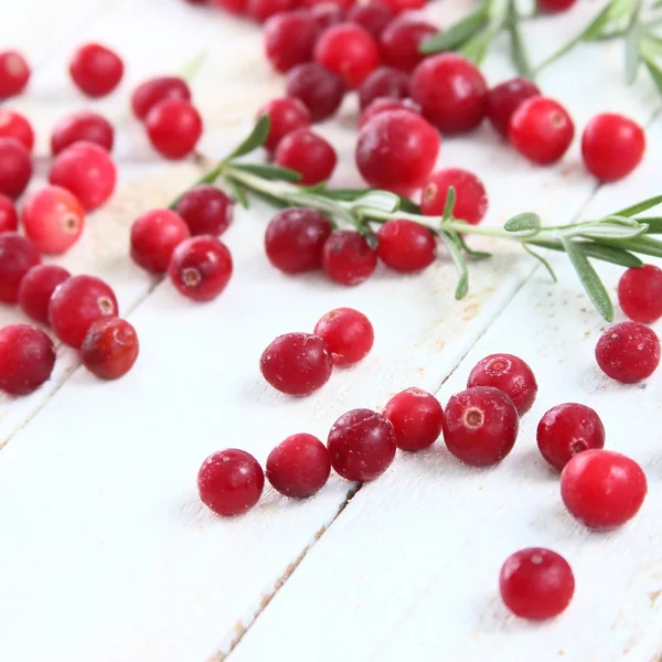 Berries cranberries and rosemary — Stock Photo, Image