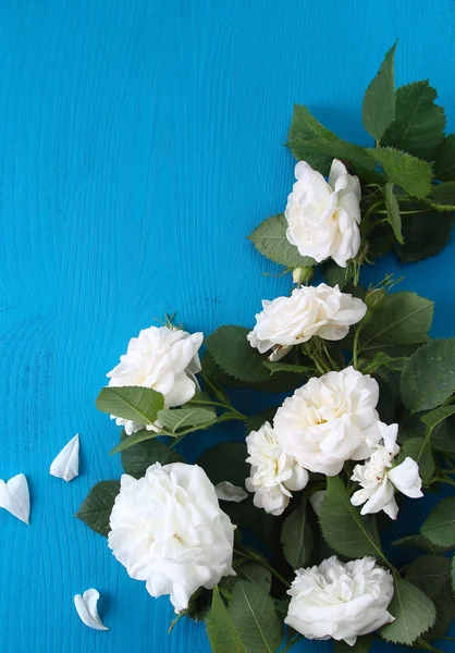 青色の背景に白いバラ — ストック写真