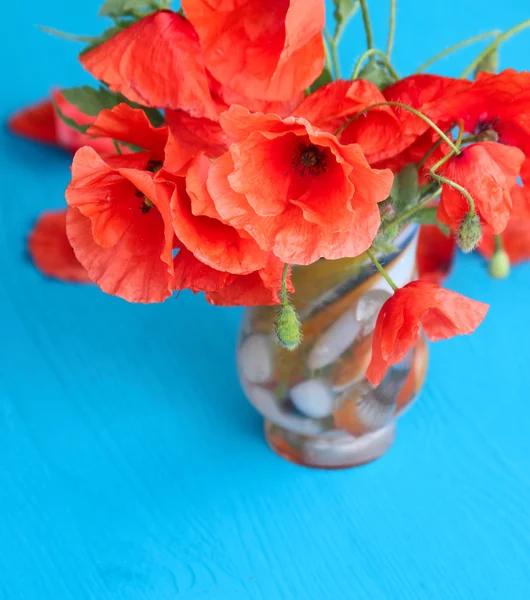 Rote Mohnblumen auf blauem Hintergrund — Stockfoto