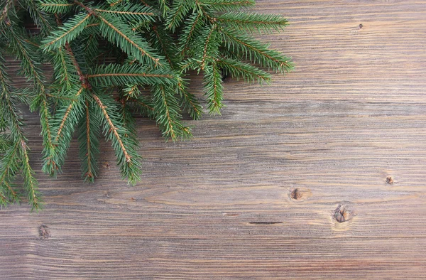 Noel arka plan Noel ağacı dalları — Stok fotoğraf