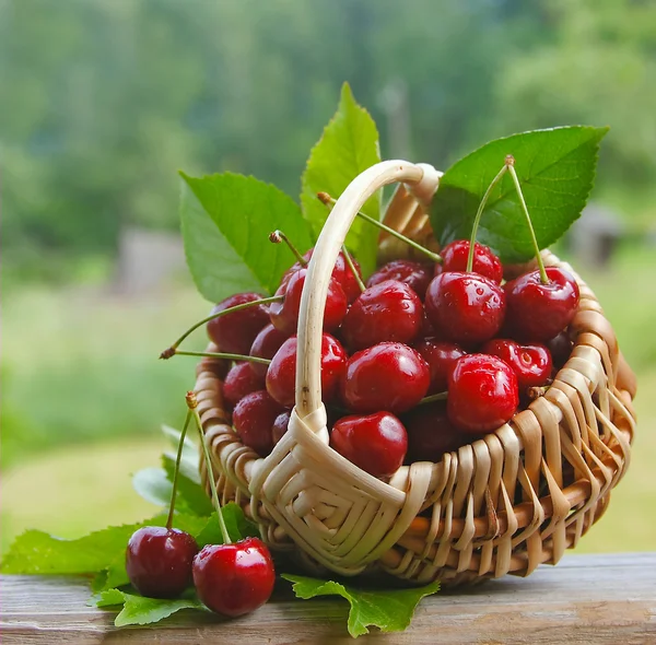 Fresh cherries — Stock Photo, Image