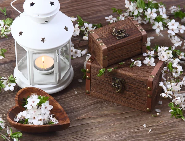 Cherry blossom on a wooden background — Stock Photo, Image