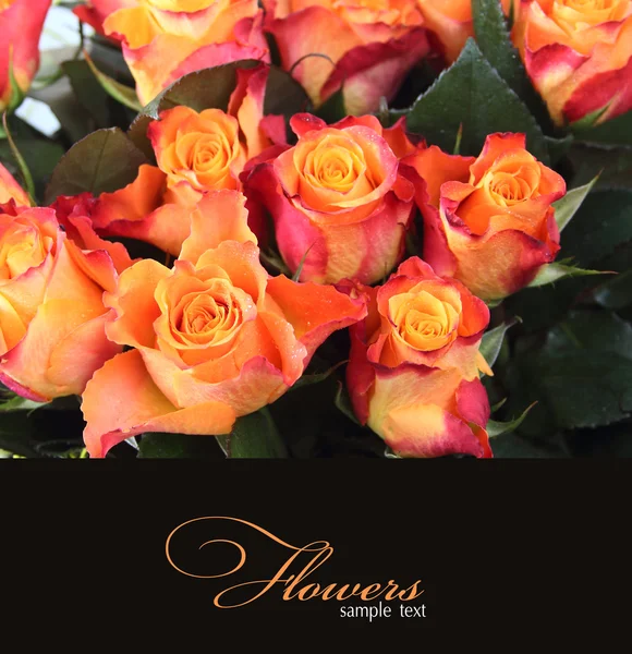 Card with orange roses — Stock Photo, Image