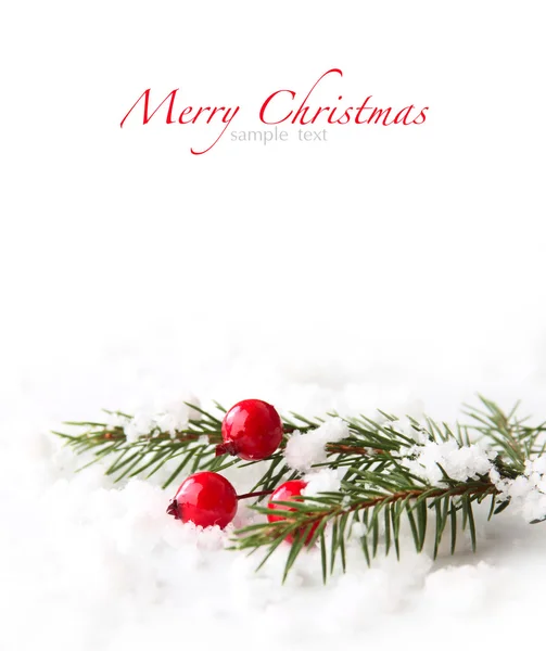 Noel ağacı arka planı