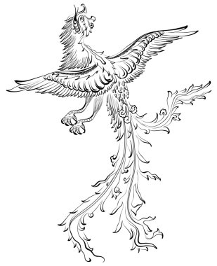 Geleneksel Asya ejderha. vektör çizim maskotu ve dövme veya t-shirt bir grafik için ideal olmasıdır..