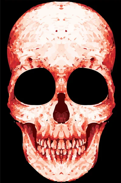 Skull King Poster Vintage Hombre Camiseta Diseño gráfico de vectores — Vector de stock