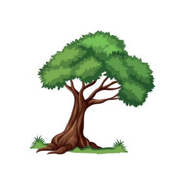 Yeşil yapraklı ve otlu Ağaç Resimleri