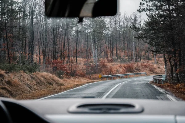 Sonbaharın ortasında bir ormanın ortasında bir arabanın içinde yol.