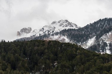 Karlı bir ormanda yeşil ve kahverengi ağaçlar ve Dolomite dağlarında dağlar