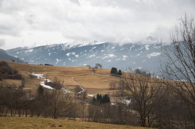 Sisli bir kış sabahı Dolomite 'da kahverengi çimen tarlası