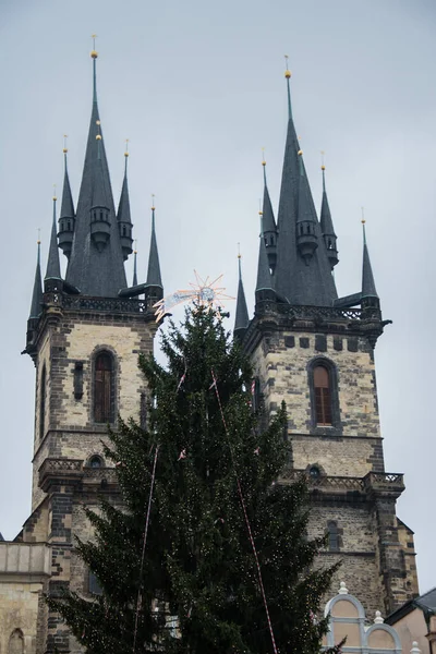 Prag Meydanı Nda Arka Planda Katedral Olan Bir Noel Ağacı — Stok fotoğraf
