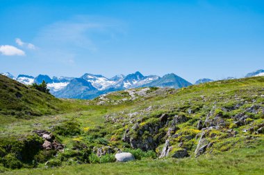Yaz boyunca büyük ve güzel Pireneler
